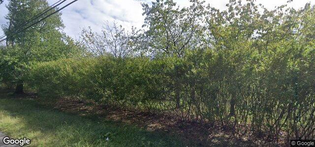 11 Willow Brook Road ਦੀ ਫੋਟੋ, ਵਿਨੀਪਿਗ, ਮੈਨੀਟੋਬਾ