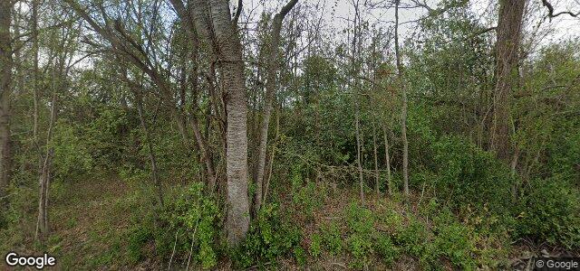 118 Kings Drive ਦੀ ਫੋਟੋ, ਵਿਨੀਪਿਗ, ਮੈਨੀਟੋਬਾ