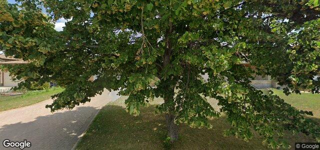 99 Belton Street ਦੀ ਫੋਟੋ, ਵਿਨੀਪਿਗ, ਮੈਨੀਟੋਬਾ