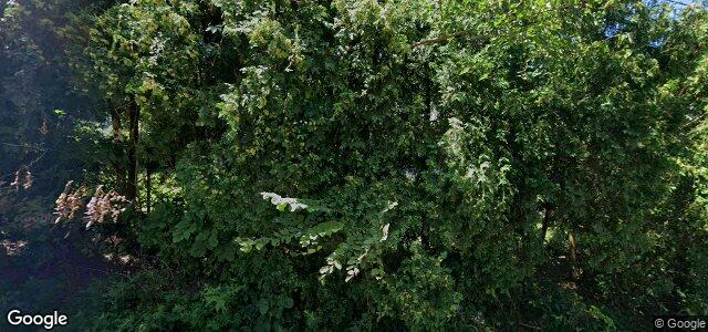 281 St Anthony Avenue ਦੀ ਫੋਟੋ, ਵਿਨੀਪਿਗ, ਮੈਨੀਟੋਬਾ