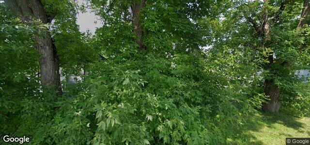 523 Whittier Avenue E ਦੀ ਫੋਟੋ, ਵਿਨੀਪਿਗ, ਮੈਨੀਟੋਬਾ