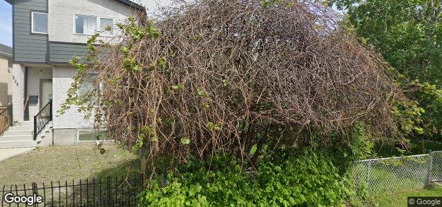 235 King Edward Street ਦੀ ਫੋਟੋ, ਵਿਨੀਪਿਗ, ਮੈਨੀਟੋਬਾ