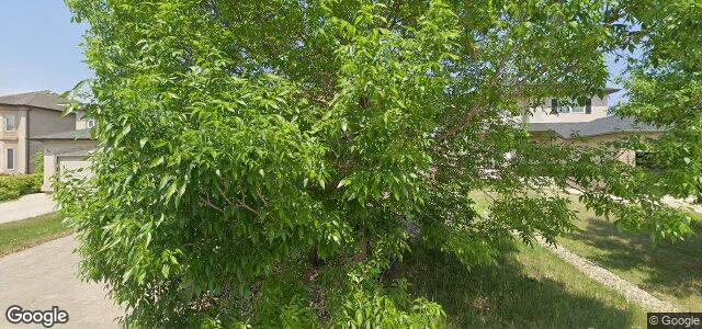 54 Powder Ridge Drive（加拿大曼尼托巴省温尼伯市）房屋照片