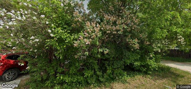 1055 Royse Avenue ਦੀ ਫੋਟੋ, ਵਿਨੀਪਿਗ, ਮੈਨੀਟੋਬਾ