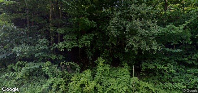 322 River Road ਦੀ ਫੋਟੋ, ਵਿਨੀਪਿਗ, ਮੈਨੀਟੋਬਾ