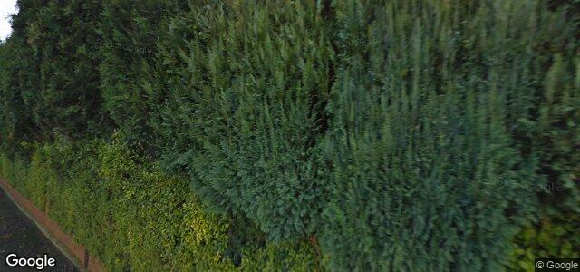 8 Millfield Drive ਦੀ ਫੋਟੋ, ਵਿਨੀਪਿਗ, ਮੈਨੀਟੋਬਾ