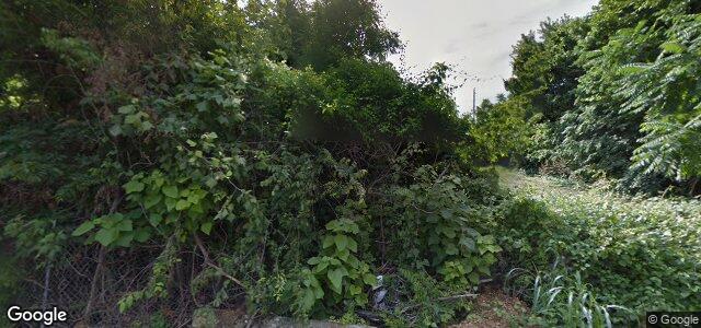 247 Chelsea Avenue ਦੀ ਫੋਟੋ, ਵਿਨੀਪਿਗ, ਮੈਨੀਟੋਬਾ