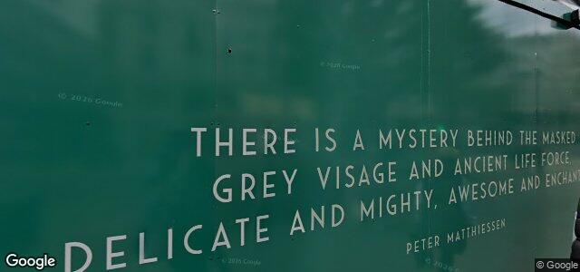 319 Oxford Street ਦੀ ਫੋਟੋ, ਵਿਨੀਪਿਗ, ਮੈਨੀਟੋਬਾ