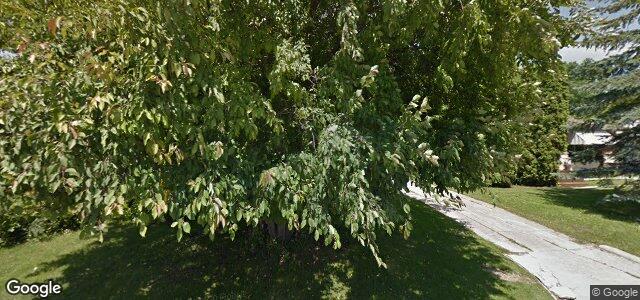 11 Virden Crescent ਦੀ ਫੋਟੋ, ਵਿਨੀਪਿਗ, ਮੈਨੀਟੋਬਾ