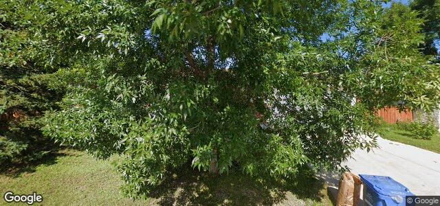 50 Jodonndra Bay ਦੀ ਫੋਟੋ, ਵਿਨੀਪਿਗ, ਮੈਨੀਟੋਬਾ