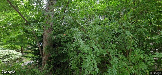 23 Lauder Avenue ਦੀ ਫੋਟੋ, ਵਿਨੀਪਿਗ, ਮੈਨੀਟੋਬਾ