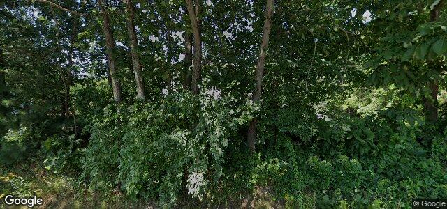 248 Sutton Avenue ਦੀ ਫੋਟੋ, ਵਿਨੀਪਿਗ, ਮੈਨੀਟੋਬਾ