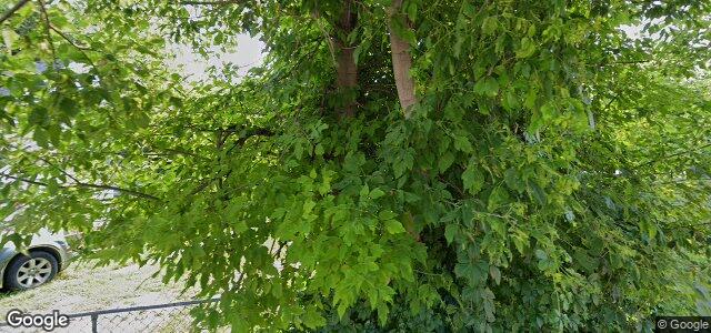 294 Scotia Street ਦੀ ਫੋਟੋ, ਵਿਨੀਪਿਗ, ਮੈਨੀਟੋਬਾ