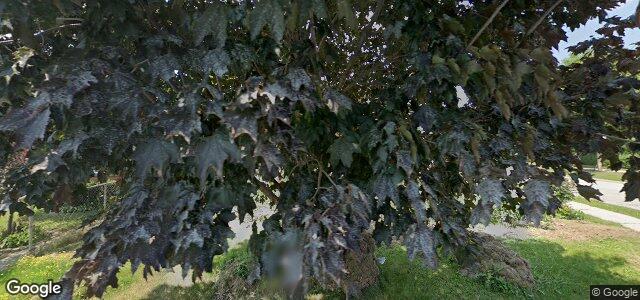 58 Mcadam Avenue ਦੀ ਫੋਟੋ, ਵਿਨੀਪਿਗ, ਮੈਨੀਟੋਬਾ