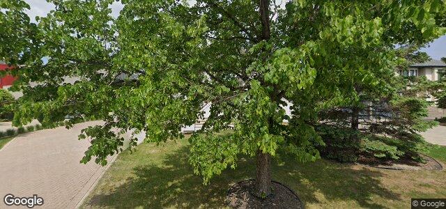 43 Dumbarton Boulevard ਦੀ ਫੋਟੋ, ਵਿਨੀਪਿਗ, ਮੈਨੀਟੋਬਾ