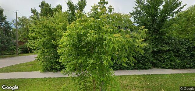 146 Machray Avenue ਦੀ ਫੋਟੋ, ਵਿਨੀਪਿਗ, ਮੈਨੀਟੋਬਾ