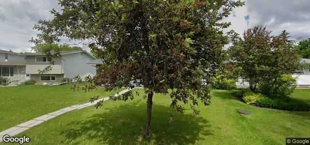 247 Sansome Avenue（加拿大曼尼托巴省溫尼伯市）房屋照片