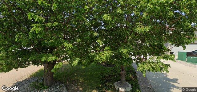 162 Vineland Crescent ਦੀ ਫੋਟੋ, ਵਿਨੀਪਿਗ, ਮੈਨੀਟੋਬਾ