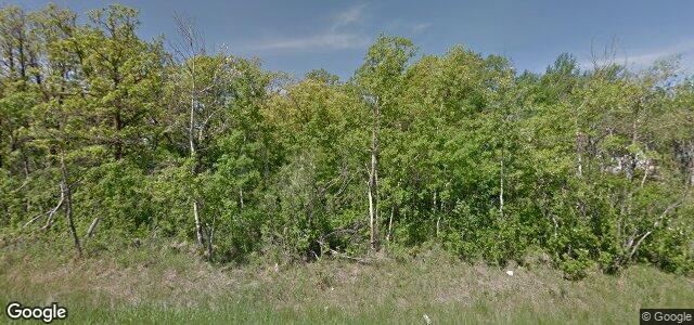 1370 Charleswood Road ਦੀ ਫੋਟੋ, ਵਿਨੀਪਿਗ, ਮੈਨੀਟੋਬਾ